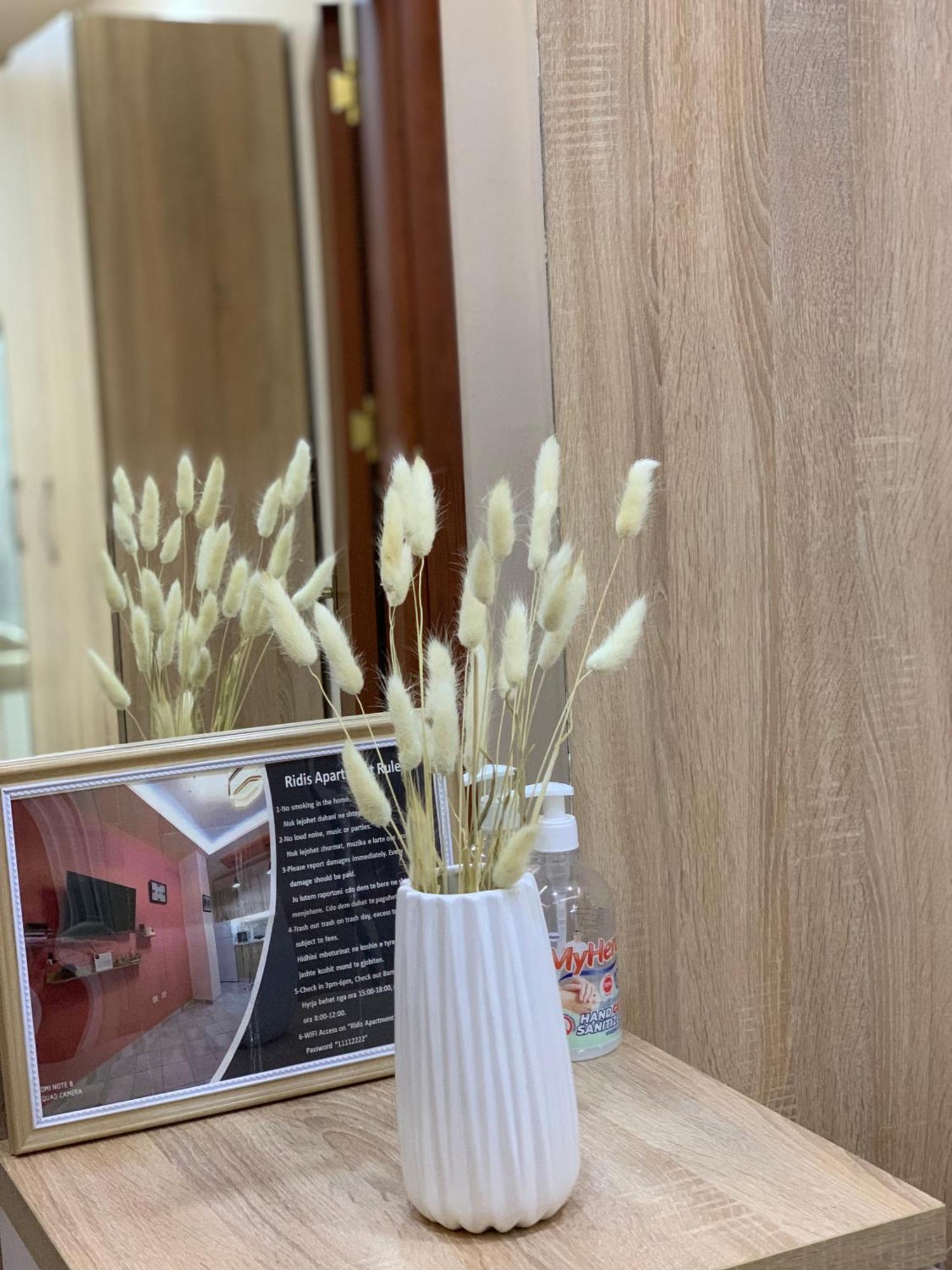 Ridi'S Comfort Apartment Шкодер Екстер'єр фото