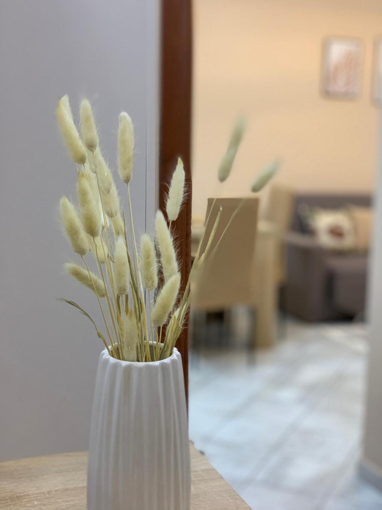 Ridi'S Comfort Apartment Шкодер Екстер'єр фото
