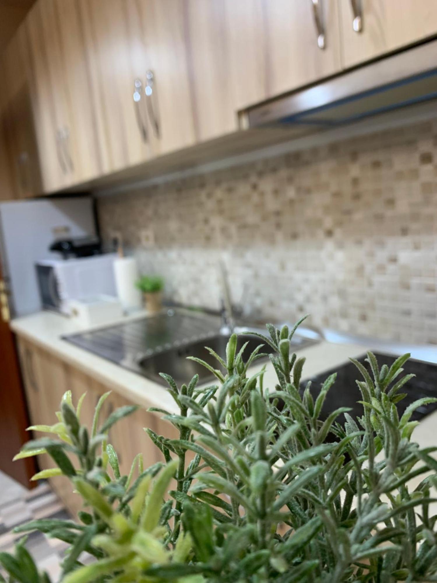Ridi'S Comfort Apartment Шкодер Екстер'єр фото