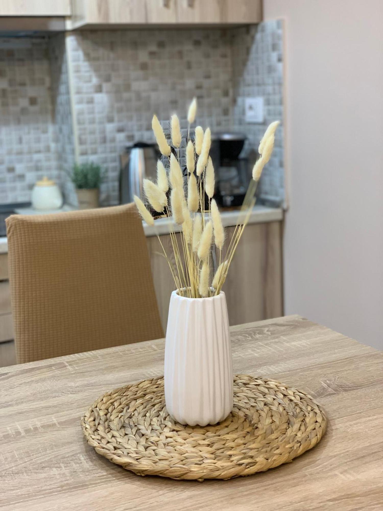 Ridi'S Comfort Apartment Шкодер Екстер'єр фото